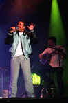 faudel