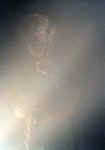 p'tit man